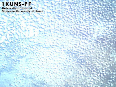 1551245471-1551258865-615_Clouds Over Australia